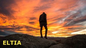 Альфа-самец, Бета-самец, Омега-самец. Кто же здесь четвёртый? Такой странный и непонятный...