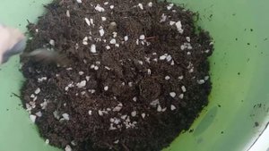 Делаем органический грунт своими руками. Агроном Владимир Епишенков.