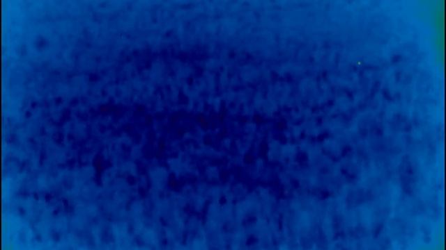 Pulsar Axion XQ38 Thermal Spotter. Mice on a field. смотреть онлайн