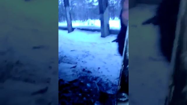 Пауки по заброшки смотреть онлайн