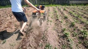 Окучивание картошки мотоблоком и самодельным дисковым окучником