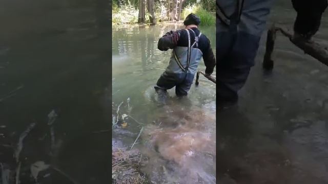 КвадроПутешествие на Атыш смотреть онлайн