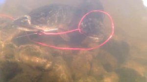 Рыбалка в г.Лабытнанги