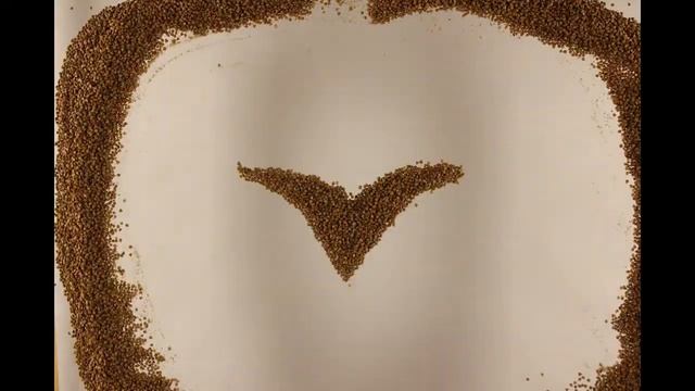 Курс анимации с Антоном Душкиным в «Цоколе». Этюд №2 смотреть онлайн