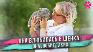 Родился уникальный булли с ГОЛУБЫМ ГЛАЗОМ! Обзор щенков МИЛЫ и СИЛЬВЕРА!  Какой стала ЛУНА?