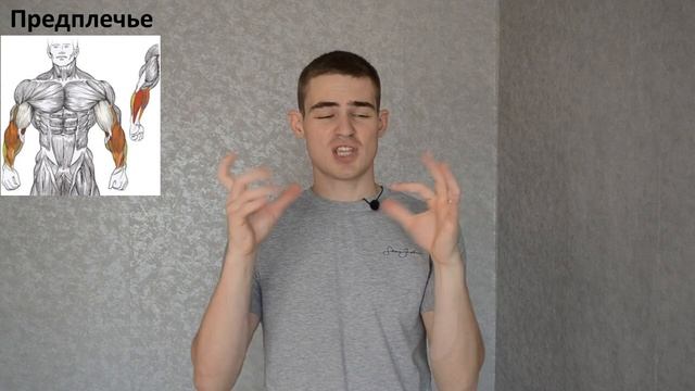 Какие мышцы работают в разных упражнениях? Функции мышц!