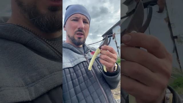 Выбираем секатор
