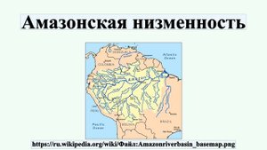 Амазонская низменность