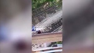 девочка висит на высоковольтном проводе