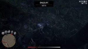 RDR2 // Равнинный волк // Timber Wolf