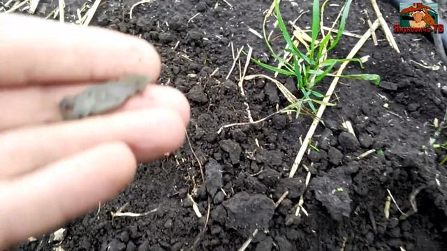 Проверка исторических мест смотреть онлайн