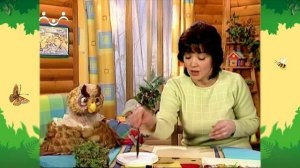 День в Шишкином Лесу. Мастерская тети Аллы. Розетка из сухоцветов