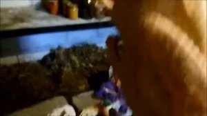 Выборочный забой уток Стар 53 им  58 дней.