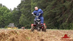 Мотоблок Угра и адаптер АМПК 1 в работе