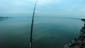 Рыбалка на карася. Крупный весенний карась!!