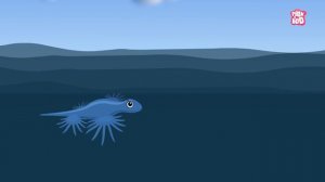 Weird Animals In The World - The Dr. Binocs Show | Best Learning Videos For Kids | Dr Binocs