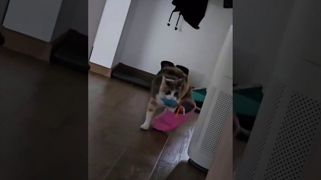 Когда твоя принцесса вернулась с вайлдберис ?
