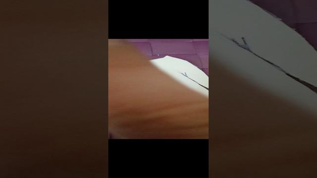 Осенняя коллекция