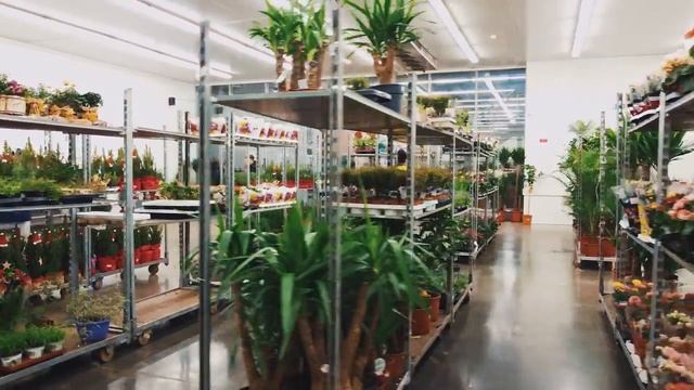 Онлайн магазин 7ЦВЕТОВ смотреть онлайн