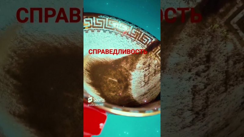 СПРАВЕДЛИВОСТЬ НА ВАШЕЙ СТОРОНЕ #ответуолятаро #youtubeshorts #youtube