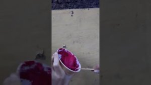 Как сделать краски холи в домашних условиях// проверка