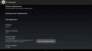 Как включить режим разработчика