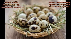 О пользе перепелиных яиц. Как определить свежесть перепелиных яиц. Дневная норма яиц.