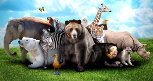 Интересные факты о животных