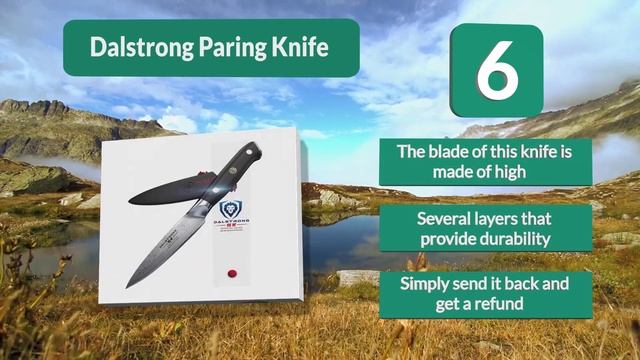 Best Paring Knife In 2020 – Top 10 Picks смотреть онлайн