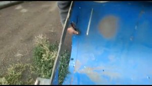 Комбайн ЕНИСЕЙ-1200НМ,  подготовка к уборочной. 2023