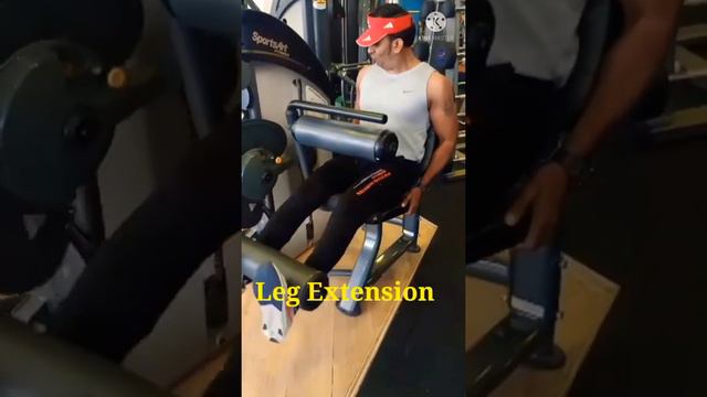 Leg Extension##4 sets##12/10/8/8##Plus fitness Gym##