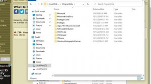 What Is 'Regid.1991-06.Com.Microsoft' and Can You Delete It?