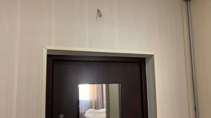 Замена зеркала в панели двери / door-services.ru