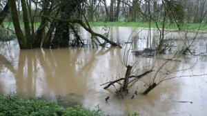 Inondations et rivière en crue