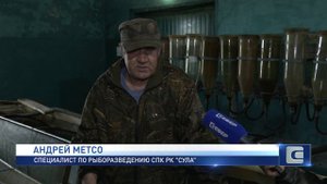 ОТ ИКРИНКИ ДО МАЛЬКА