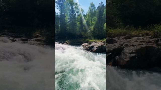 Антистрессовое видео. Горной реки и солнечного дня вам🫀