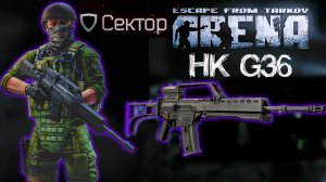 Сектор - Лучший Штурмовик Арены?  ? HK G36 в Escape From Tarkov: Arena