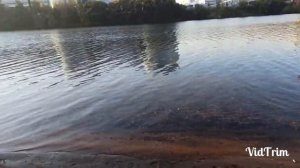 Рыбалка в Красногорске.(Окуни)