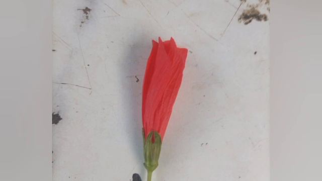 Flavin 001 - Good Days Music Lyrics смотреть онлайн