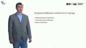 Животные в городе  Биоразнообразие и экология
