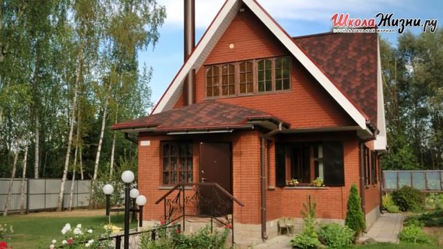 Какова Кошачья Жизнь и Животный Мир в Англии
