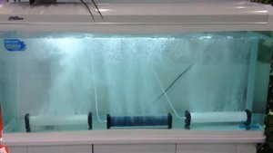 Аэраторы (распылители воздуха) для пруда и большого аквариума