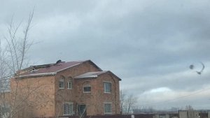 В Павлодарской области ураганный ветер снес крыши, перевернул остановки и повалил деревья