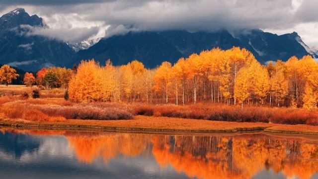 Еще раз я твою РОДНЮ в гостях не ПЕРЕЖИВУ. Истории из жизни. смотреть онлайн