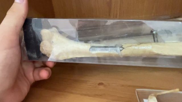 Судебная медицина - ходили на вскрытия трупа , изучали разные макеты …..новый цикл смотреть онлайн