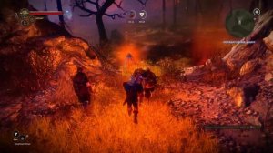 Ведьмак 2: Убийцы королей: Получить часть панциря Драугира  в начале Главы-2 на Безумии / Тёмном