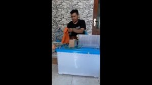 UNBOXING ULAR ALBINO LANGKA , OLIGODON SI ULAR BERGIGI PISAU ??