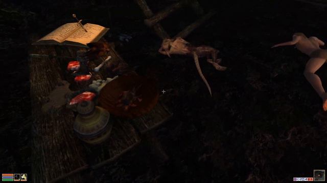 TES 3: Morrowind ► Неудачливые контрабандисты, #44 смотреть онлайн