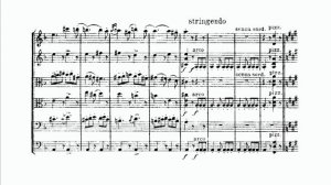 Nikolai Rimsky-Korsakov - String Sextet [w_ score]