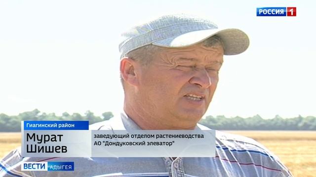 В Адыгее идет уборка озимых зерновых